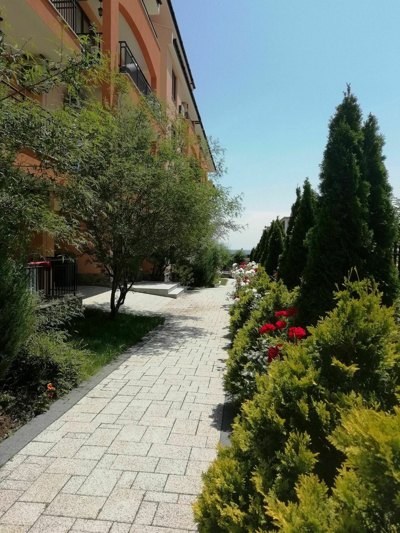 Stardreams Apartments Sveti Vlas Extérieur photo